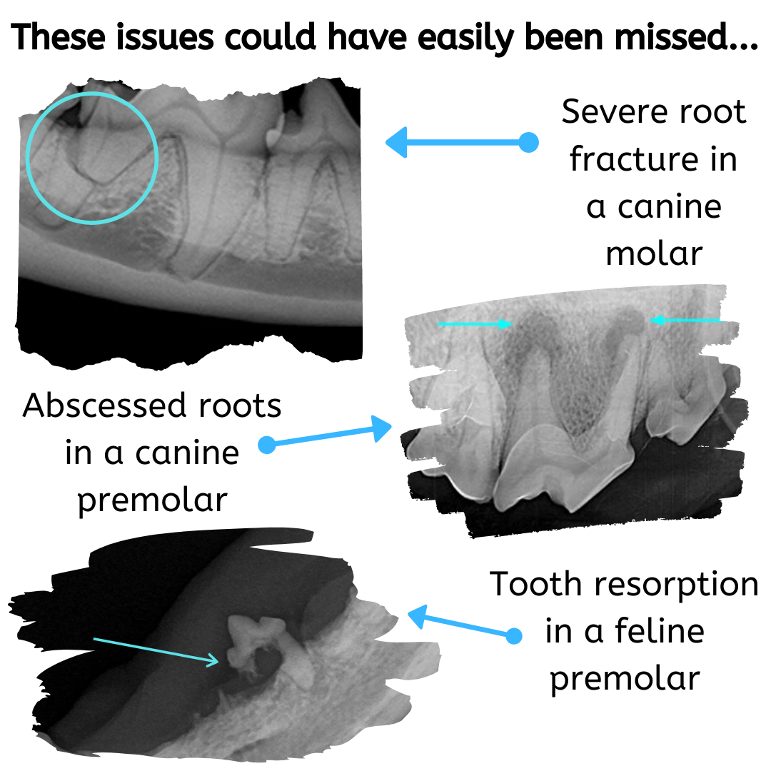 Example of issues missed without radiographs