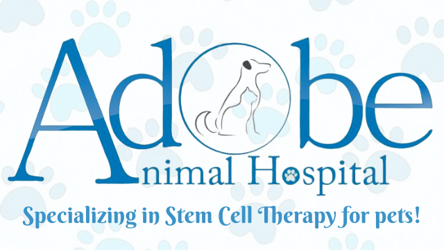 Adobe Animal Hospital Logo