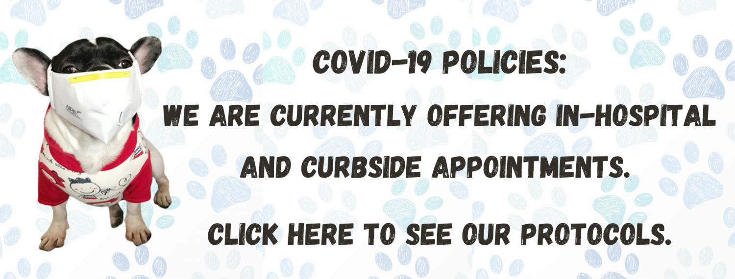 Covid19 policy banner