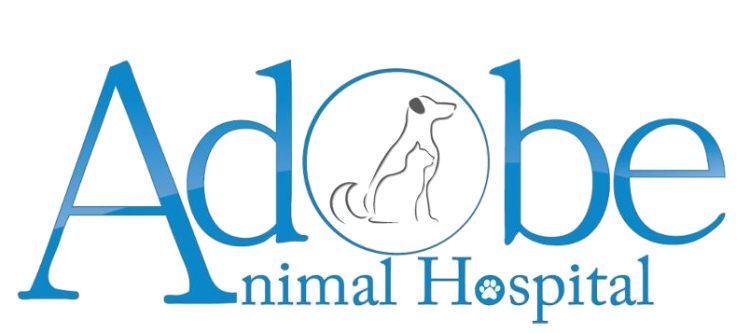 animal hospital cremation