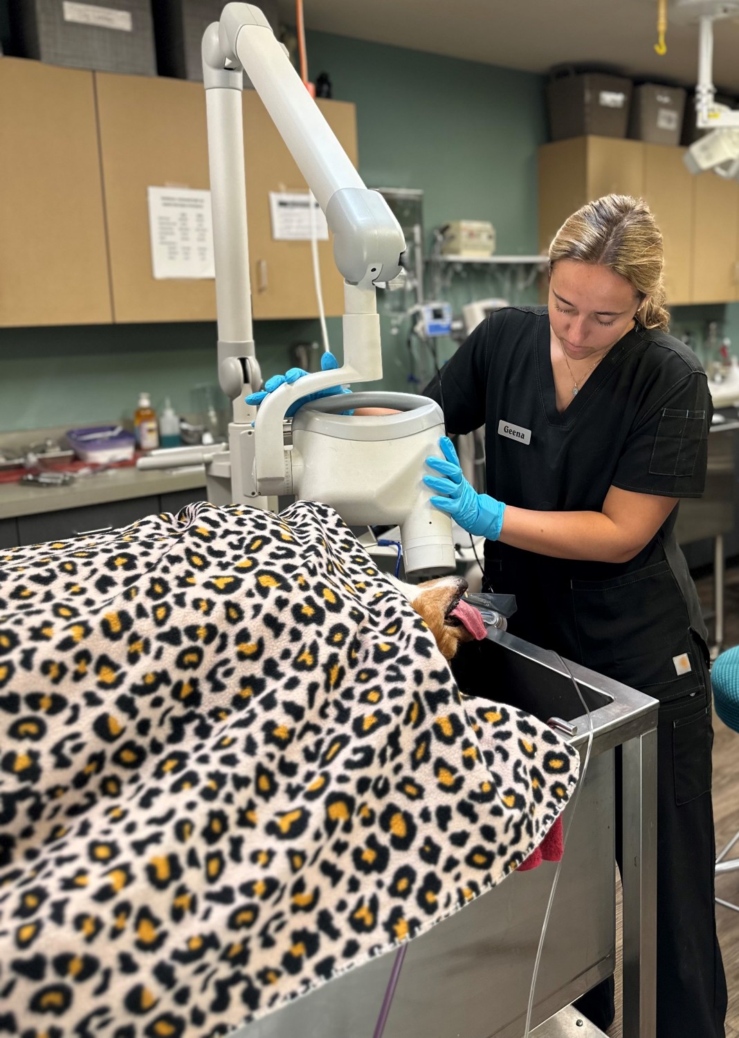 Technician performing dental work